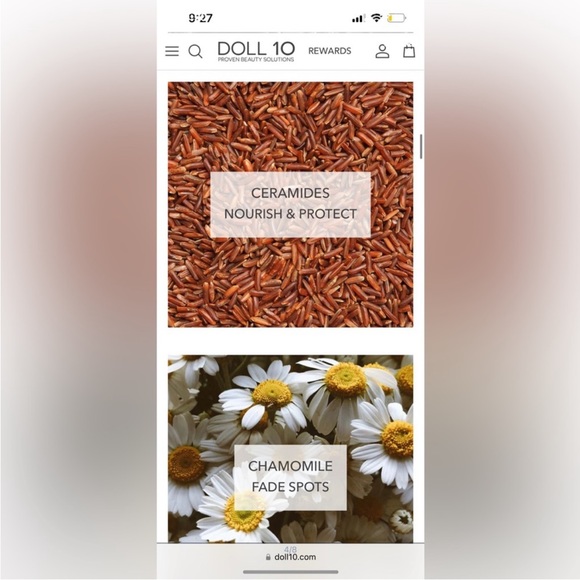 NEW DOLL 10 Hydragel Foundation - Picture 11 of 13